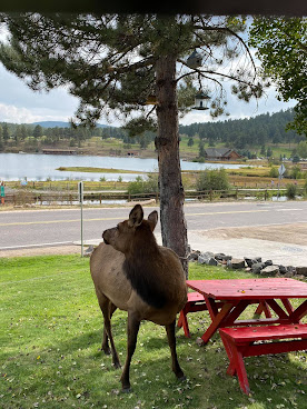 Willow Creek Restaurant by null