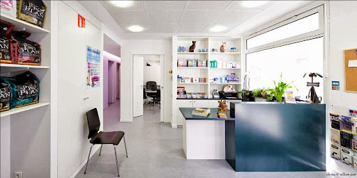 Cabinet Vétérinaire des Lilas - Thumbnail