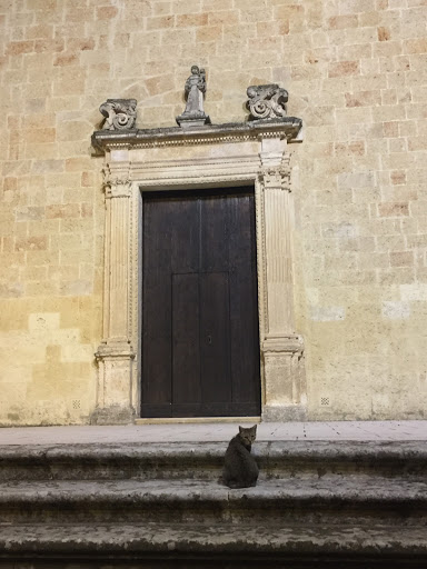 Tutino - Visual