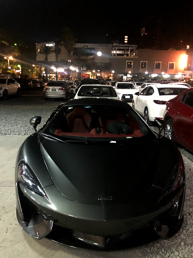 Yo Conduzco Servicio Valet Parking - Thumbnail