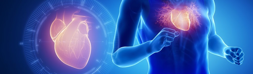 Dr Eva Hausnerova Md Phd