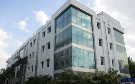 Af1qipmmydphzcx Yyxsyd0sjvaru  8qww2kb6 Vmj6=s466 K No