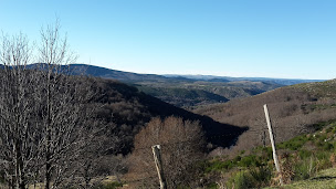 Photo n°1 de Clinique Vétérinaire des Cytises à Mende (Clinique vétérinaire)