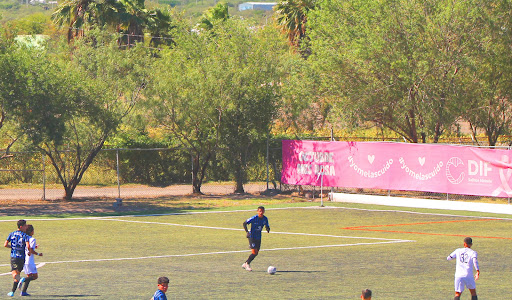 Unidad Deportiva Salinas Victoria