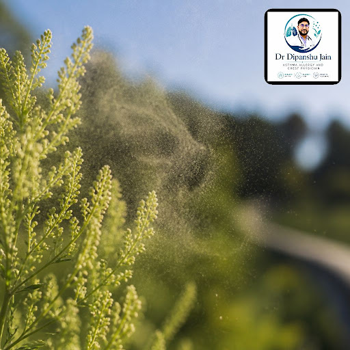 Season changes in Jaipur often bring a sudden rise in sneezing, runny nose, itchy eyes, and breat… post image