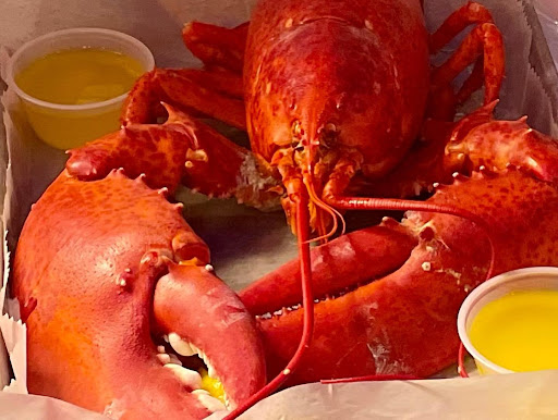 Jameson's Lobster - Thumbnail