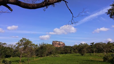 Photos of Sigiri Choona Lodge