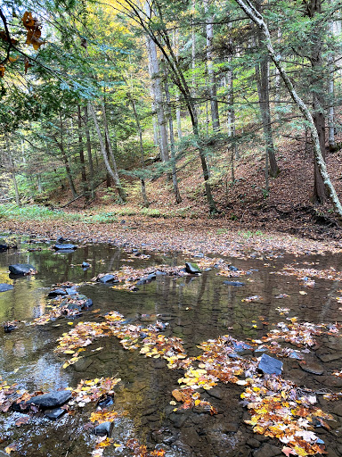 Sizerville Nature Trail - Thumbnail