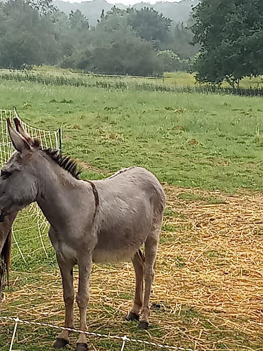 Domaine de la Brossette - France