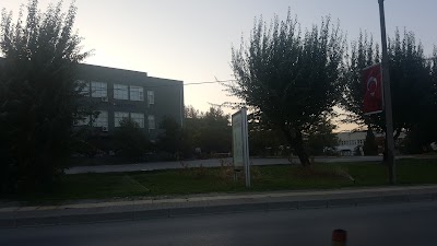 university