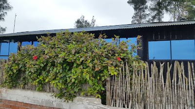 Photos of Manglaralto