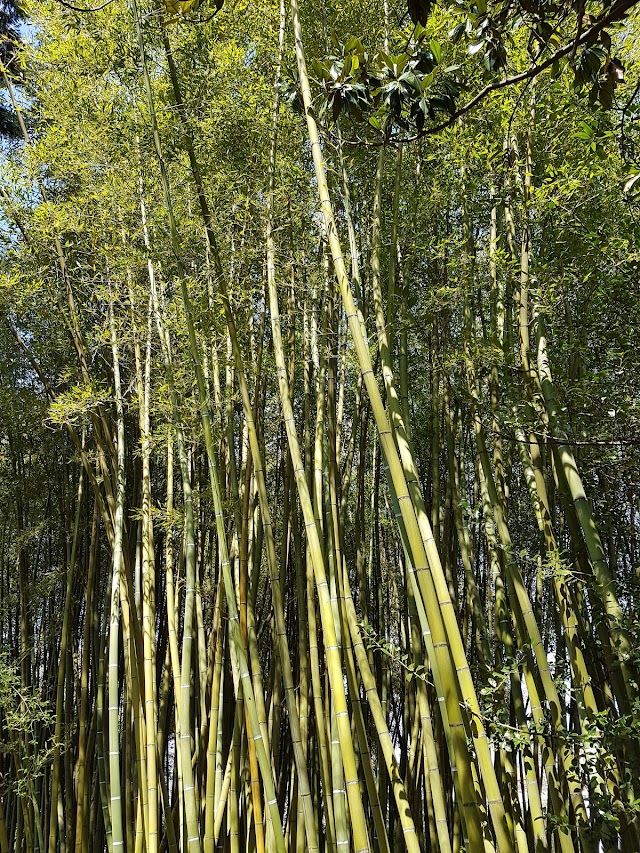 Orto e Museo Botanico