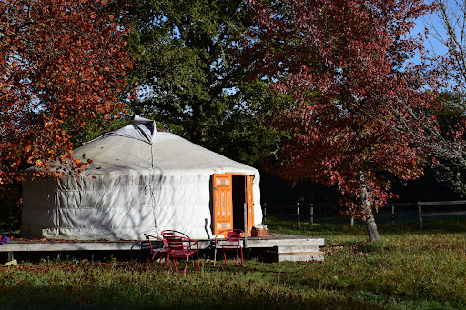 Photo de Les ânes de Vassivière à Peyrat-le-Château (87470)