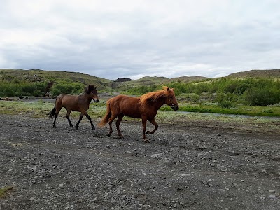 Photos of St&ouml;ng, Viking-era Long house