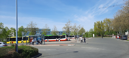 Dorsten ZOB Dorsten - Thumbnail