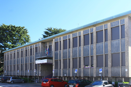Liceo Linguistico "A. Manzoni" Logo