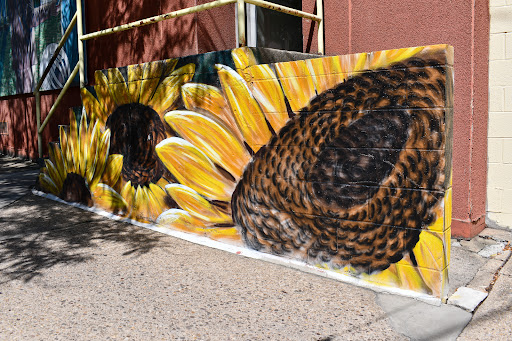Sunflower Yoga & Fitness Center Gallery - United States