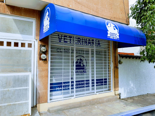 Exotic Animal Health
