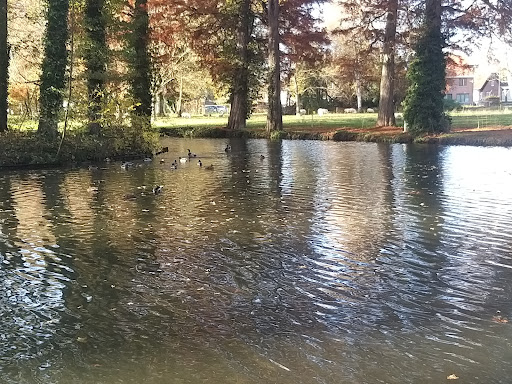 Edelhof - Visual