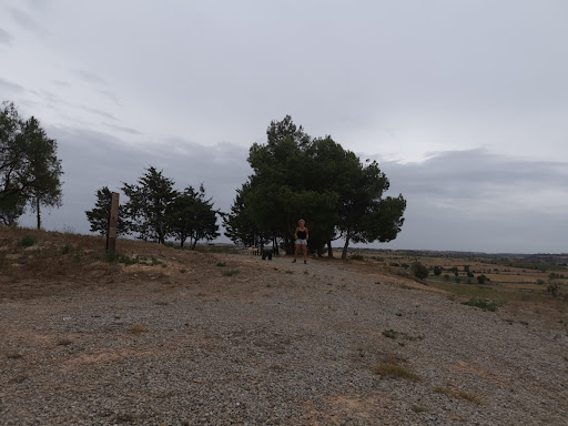 Sedó Sedo - Thumbnail