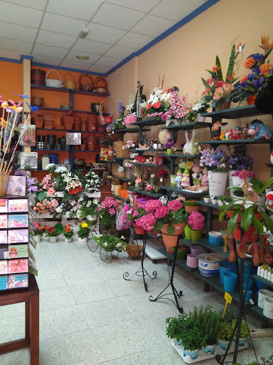 Floristeria Roses d'Abril - Thumbnail