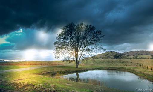 The Sierra Gallery & Boutique Gallery - United States