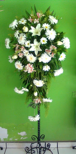 Floreria Sammy - Visual