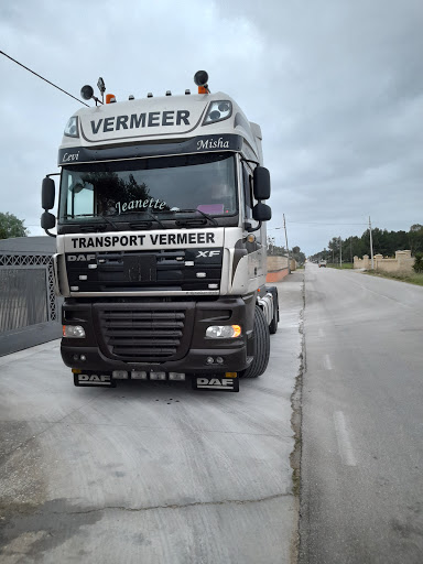 Transartica - Visual