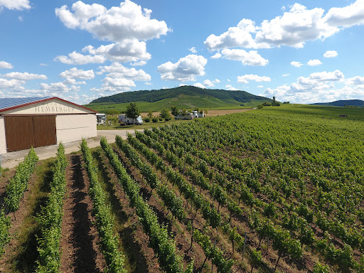 Weingut Hemberger - Visual