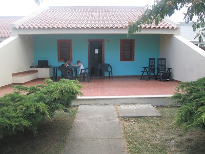 Photos of The Palatine Village