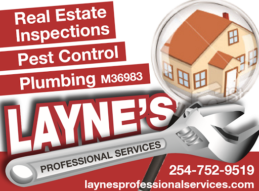 Layne's Professional Services - Visual