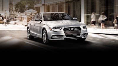 Photos of Audi Petoskey