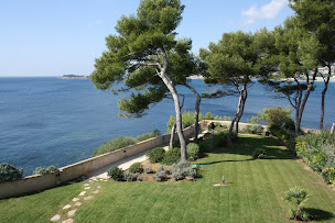 Photo n°1 de Tardy Immobilier à Saint-Cyr-sur-Mer (Agence immobilière)