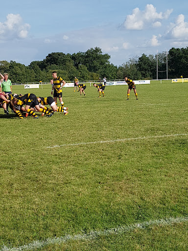 Braintree Rugby Club
