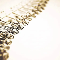 Photo n°7 de Marine Dautin Ostéopathe, professeur de Yoga à Pontault-Combault (Professeur de yoga)