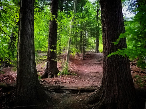 Science Hill