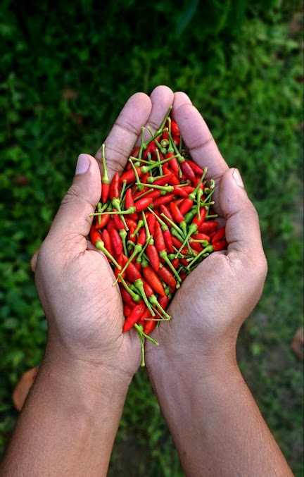 Af1qipmn4qmzjuoutgvgxdrcql1mimqnbvfuh6dxnovg=s677 K No