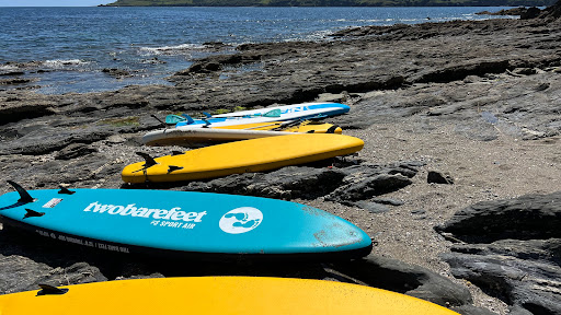 Cows Beach - Visual