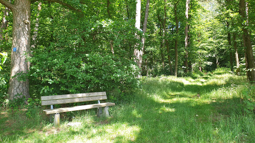 Picknickbank - Visual