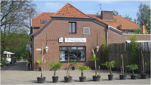Weeze - Thumbnail