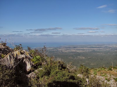 Photos of Pan de Guajaibon