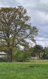 Photo n°14 de La Ferme Buissonnière à La Lande-de-Lougé (Ferme d'élevage)