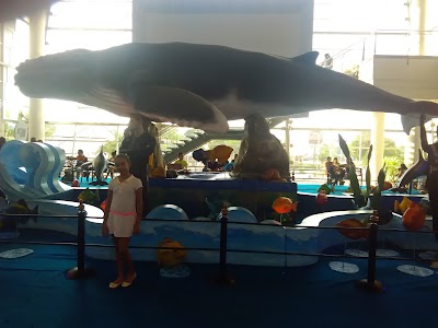 Photos of "Tigo" Park