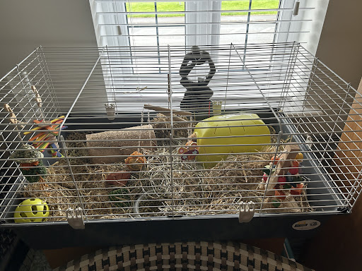 Coco's small animal hotel St Helens