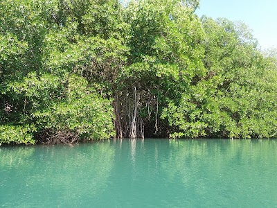Photos of Morass of Caimanera