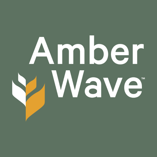 Amber Wave - Visual