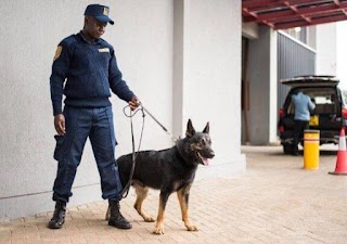 MI FACILITY SERVICES LTD