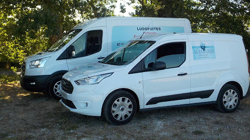 Photo de SAS Ludofuites à Vandré (17700)