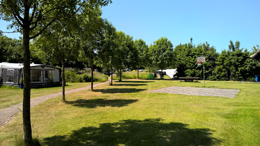 Camping 't Hofje van Hoog-Zuthem - Thumbnail