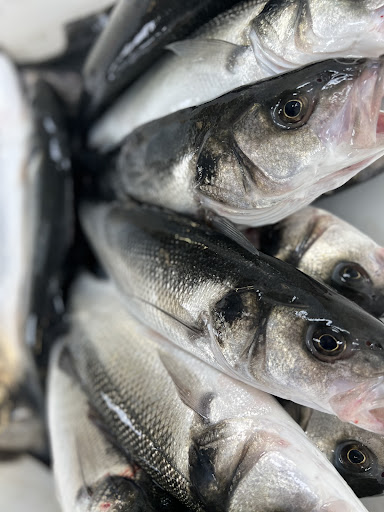 Whitfish Ltd - Visual